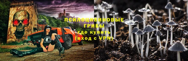 тгк Аркадак
