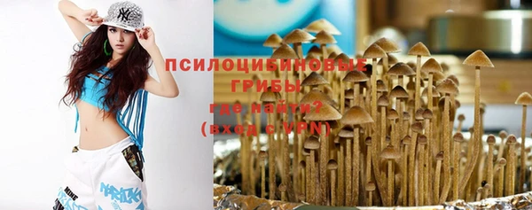 ГАЛЛЮЦИНОГЕННЫЕ ГРИБЫ Армянск