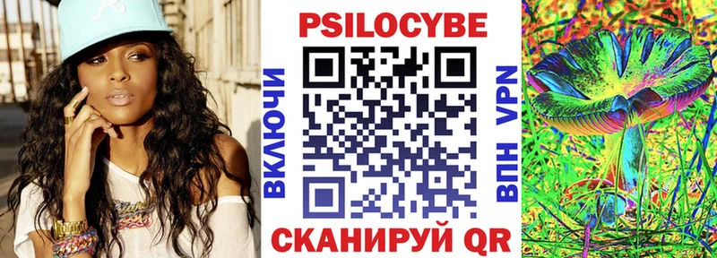 Псилоцибиновые грибы Cubensis Полярный